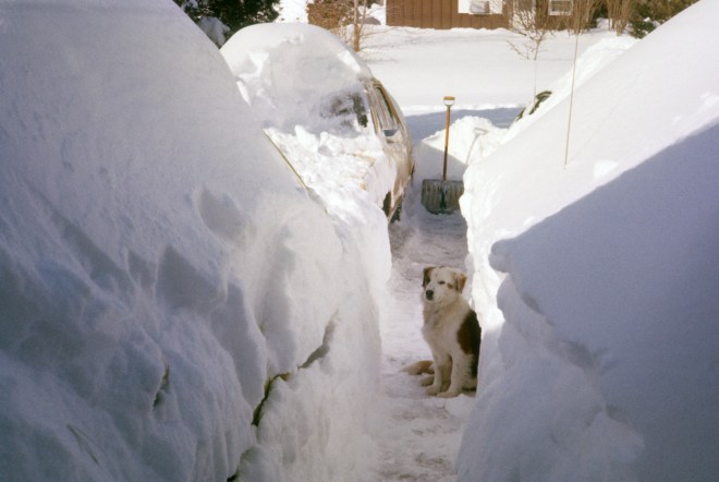 00248_s_9abjfpene0399