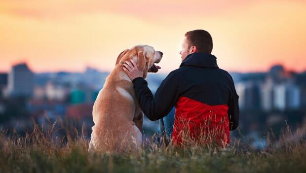 Man Sitting With His Dog-Carousel